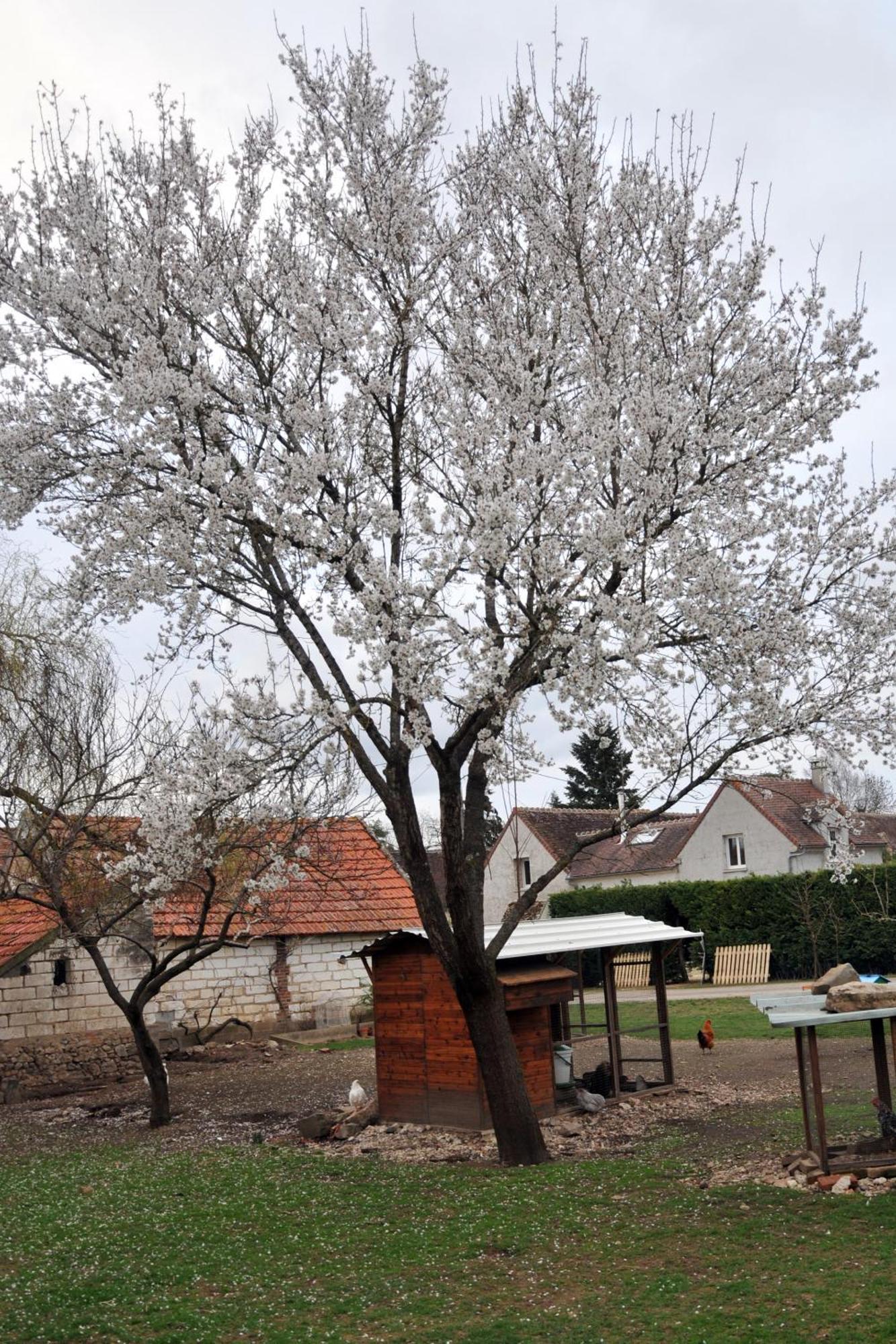 La Ferme De Flo' Villa Evry  Exterior foto